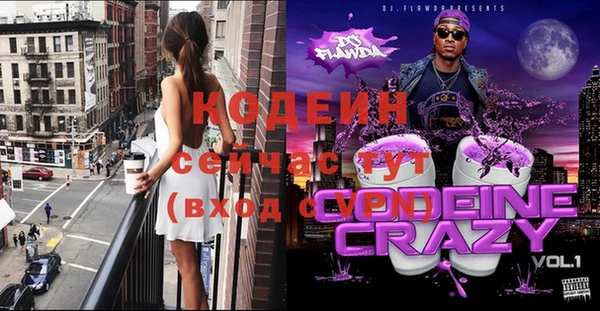 крисы Кулебаки