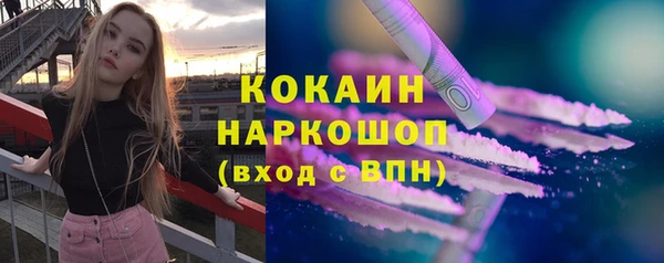 крисы Кулебаки