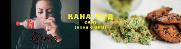 крисы Кулебаки